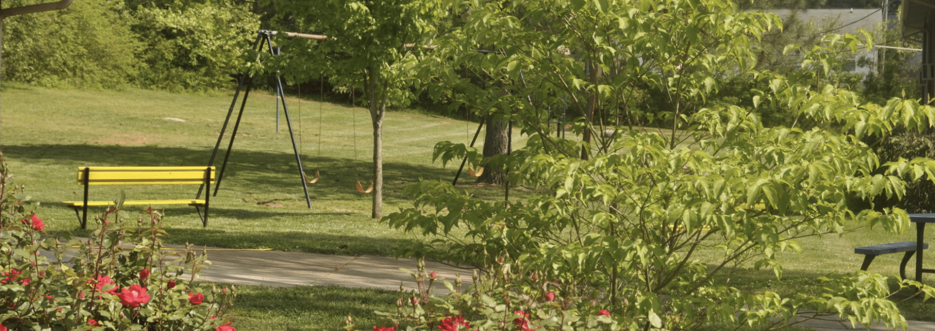 a park with a swing set and flowers at The North Park