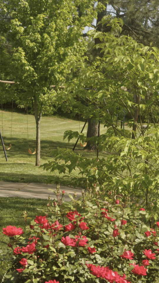 a park with a swing set and flowers at The North Park